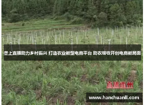 垄上直播助力乡村振兴 打造农业新型电商平台 助农增收开创电商新局面