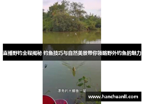 直播野钓全程揭秘 钓鱼技巧与自然美景带你领略野外钓鱼的魅力