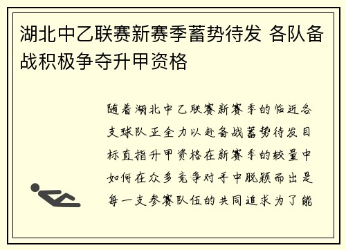 湖北中乙联赛新赛季蓄势待发 各队备战积极争夺升甲资格